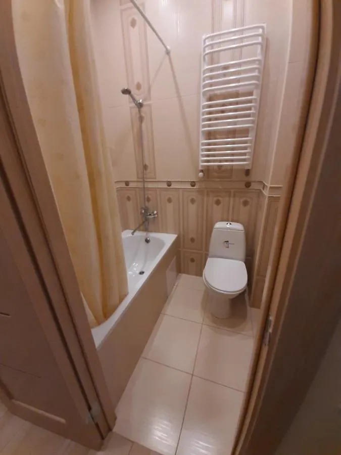 Apartment On Kulisha 41 利沃夫 乌克兰