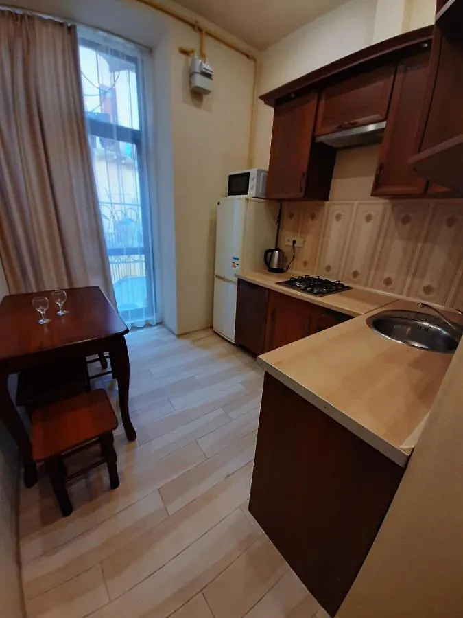 Apartment On Kulisha 41 利沃夫 0*,